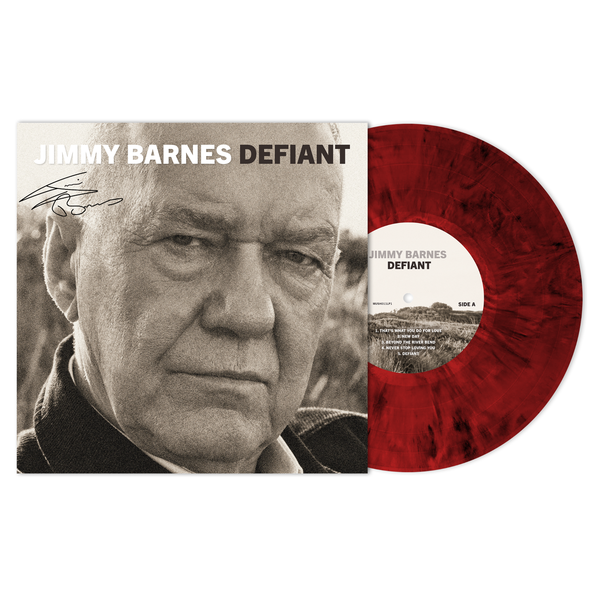 DEFIANT | Limited Edition | Marble VINYL | PRE ORDER